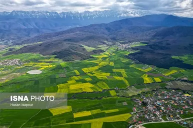 ایران زیباست | کشت کلزا در مناطق کوهستانی دودانگه - مازندران