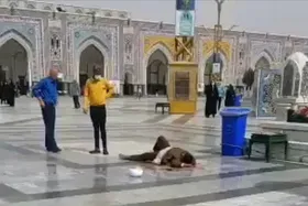 ویدئو | آخرین وضعیت طلبه های مضروب حادثه حرم مطهر رضوی