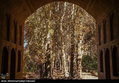 ایران زیباست | طبیعت باغ پهلوان پور- مهریز