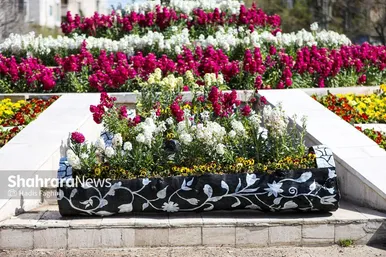 گزارش تصویری | المان های گل در نوروز ۱۴۰۴ مشهد