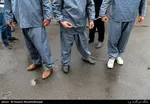 تصاویر زورگیران آزادراه تهران - شمال
