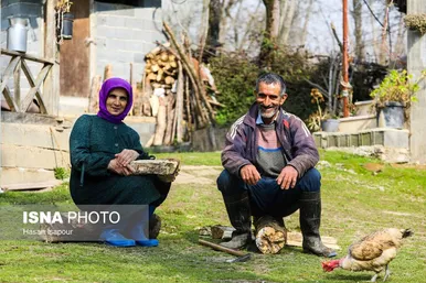 نوروزگردی | زندگی روستایی در لفور سوادکوه