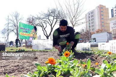 گل‌کاری در نقاط مختلف شهر مشهد