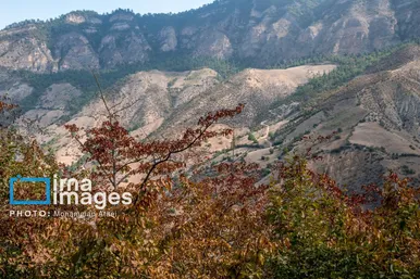 گزارش تصویری | خشکسالی در جنگل‌های هیرکانی گلستان