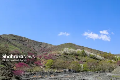 ایران زیباست | «ارغوان» پنجه‌ی خونین زمین