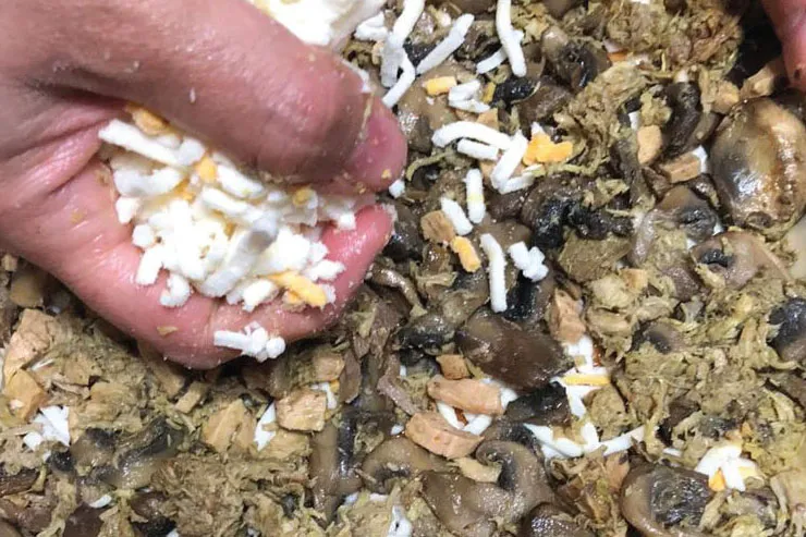 طرز تهیه پیتزای گوشت و قارچ به صورت خانگی