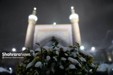 بارش برف زمستانی در حرم مطهر رضوی