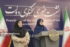 سخنگوی دولت در پاسخ به سؤال شهرآرانیوز: هدف ما افزایش رضایت&zwnj;مندی زائران مشهد است + فیلم