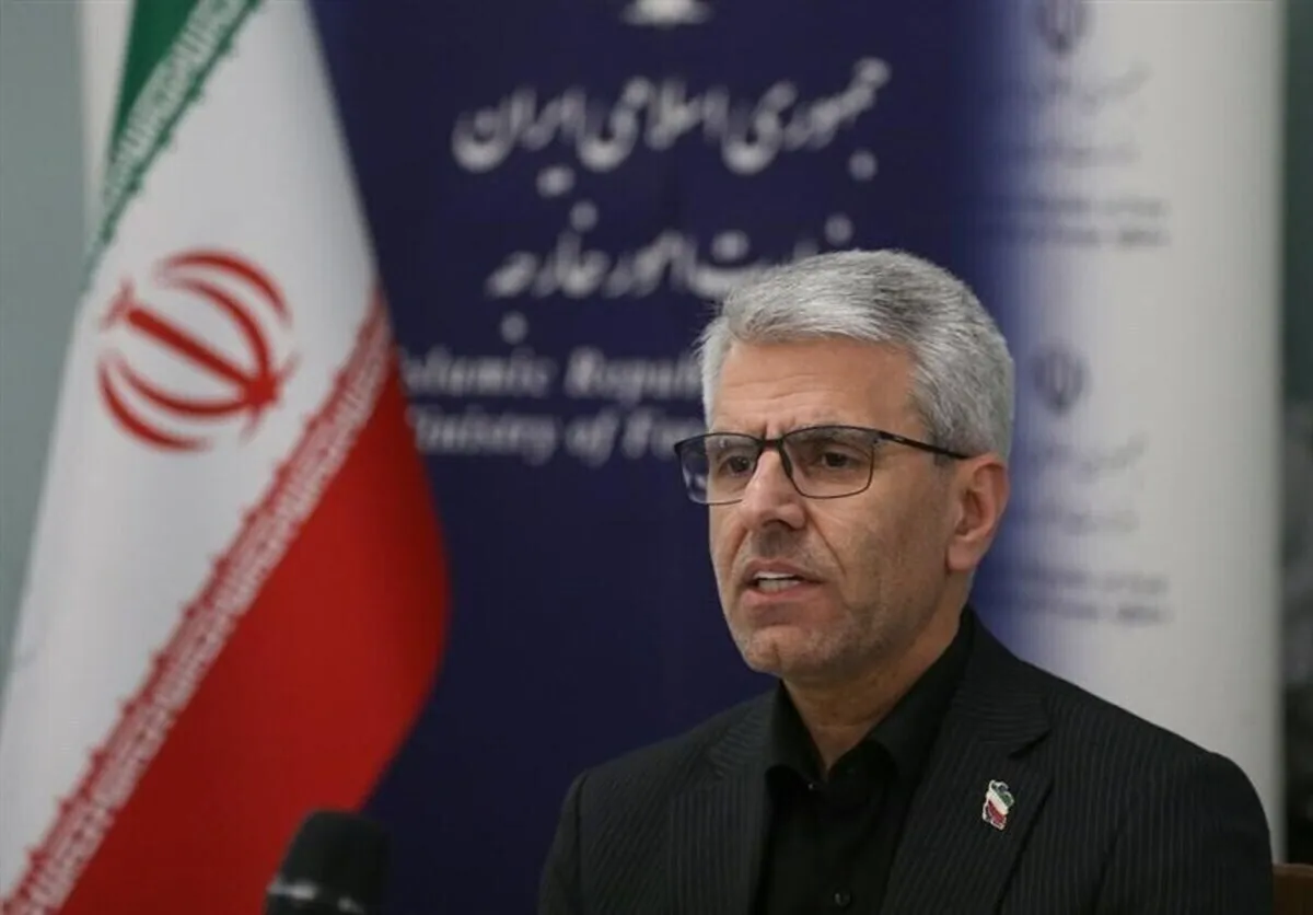 سخنگوی وزارت امور خارجه: ایران، استوار و پرافتخار ایستاده است...
