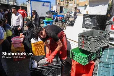 گزارش تصویری |  بازار ماهی فروشان در شهرک عرب‌های مشهد