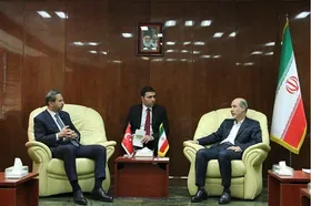 ایران و ترکیه برای توسعه همکاری&zwnj;ها در حوزه برق اعلام آمادگی کردند