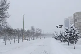 ویدئو| تصاویری از بارش برف بهاری در مشگین&zwnj;شهر اردبیل