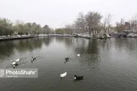 بارش باران و برف در خراسان رضوی | مشهد بارانی می‌شود (٢٣ آذرماه ١۴٠٢)