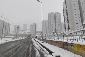 ویدئو| بارش نخستین برف پاییزی در دماوند