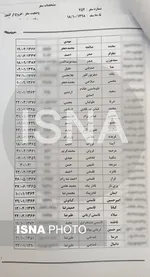 اعلام اسامی مسافران هواپیمای اوکراینی+ عکس