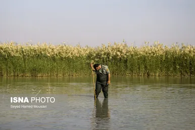 نگهبانان تالاب هورالعظیم