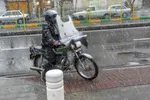 بارش برف در مشهد در آخرین روز‌های زمستان ۱۳۹۹ + تصاویر