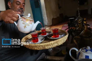 برکت خاک ایران | برداشت چای قرمز در روستای علوه