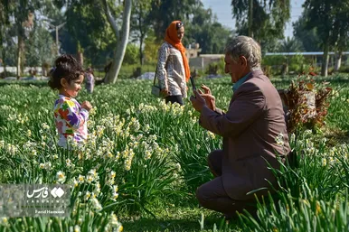 ایران زیباست | نرگسِ «بِهبهان»
