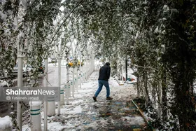 پیش&zwnj;بینی هواشناسی مشهد و خراسان رضوی امروز (چهارشنبه، ۲۴ دی ۱۴۰۴) | یخبندان در راه مشهد