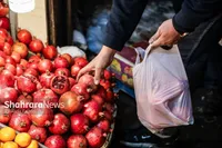 میوه شب یلدا هست، اما گران‌تر از میدان بار | توزیع در مراکز عرضه مستقیم میوه سطح شهر مشهد