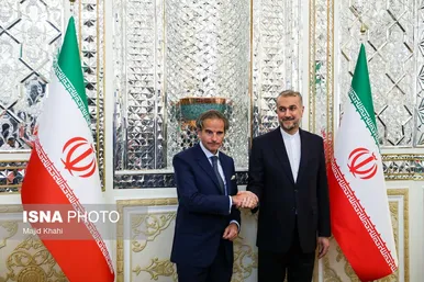 دیدار مدیرکل آژانس بین‌المللی انرژی اتمی با وزیر خارجه