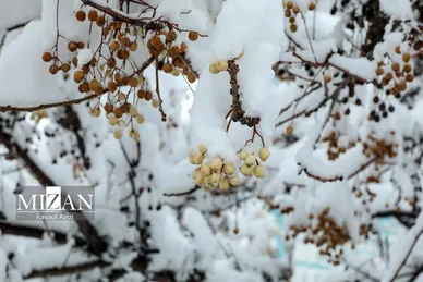 ایران زیباست | برف در کلات