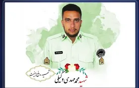 قاتل شهید مامور نیروی انتظامی در شهرستان چهارباغ استان البرز اعدام شد (۸ اردیبهشت ۱۴۰۵)