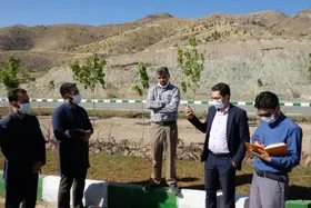 پروژه کوه پارک بدون آسیب به طبیعت در حال اجرا است | حضور مردم در ارتفاعات جنوبی مانع از تصرفات جدید و ساخت و ساز می&zwnj;شود