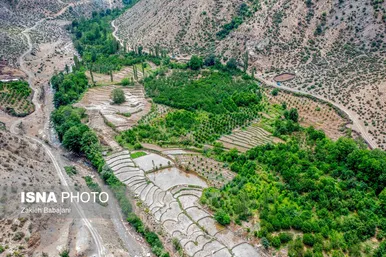ایران زیباست | برداشت گیلاس در روستای بندبن