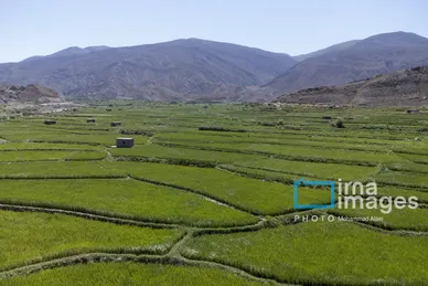 ایران زیباست | کشت پلکانی شالی