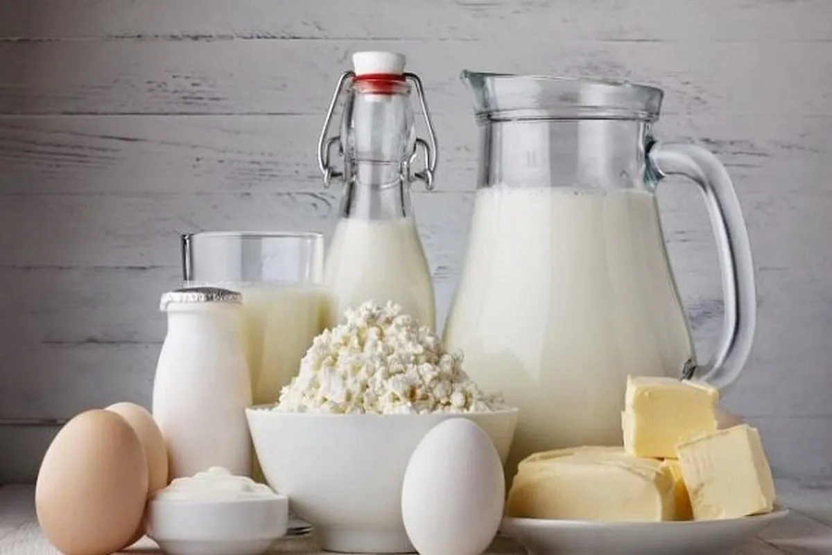 هشدار یک متخصص بیماری‌های عفونی درباره مصرف لبنیات سنتی در فصل بهار