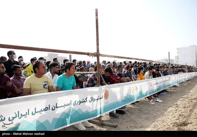 دومین فستیوال کشوری اسب اصیل ایرانی در بوشهر