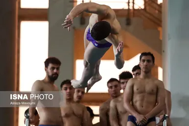 لیگ شیرجه باشگاه‌های کشور