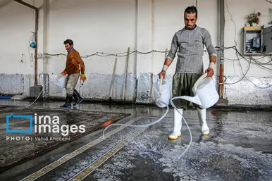 عکس‌هایی از یک کارگاه قالیشویی در آستانه نوروز