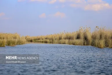 ایران زیباست | تالاب شادگان