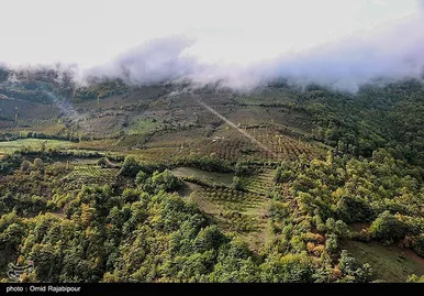 ایران زیباست؛ طبیعت پاییزی - گیلان