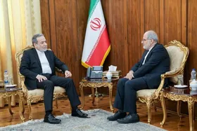 وزیر خارجه بر اهمیت تقویت مناسبات و همکاری&zwnj;ها با ایرلند تاکید کرد