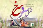 ویدئو | فصل سردِ سرخ، روایتی از برداشت زعفران توسط کشاورزان خراسانی