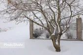 کاهش دما از روز جمعه در خراسان رضوی | تداوم آلودگی هوا در مشهد (٢۷ دی‌ماه ١۴٠١)