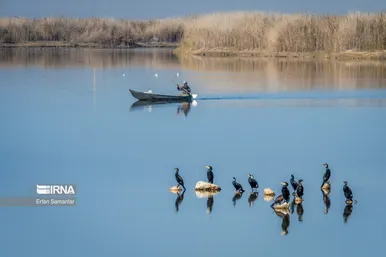 ایران زیباست | تالاب هورالعظیم