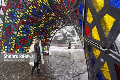 گزارش تصویری | بارش زیبای برف در مشهد