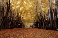 ویدئو| پاییز زیبا خوانسار