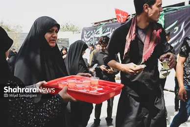 زائران پیاده امام رضا(ع) - ۲