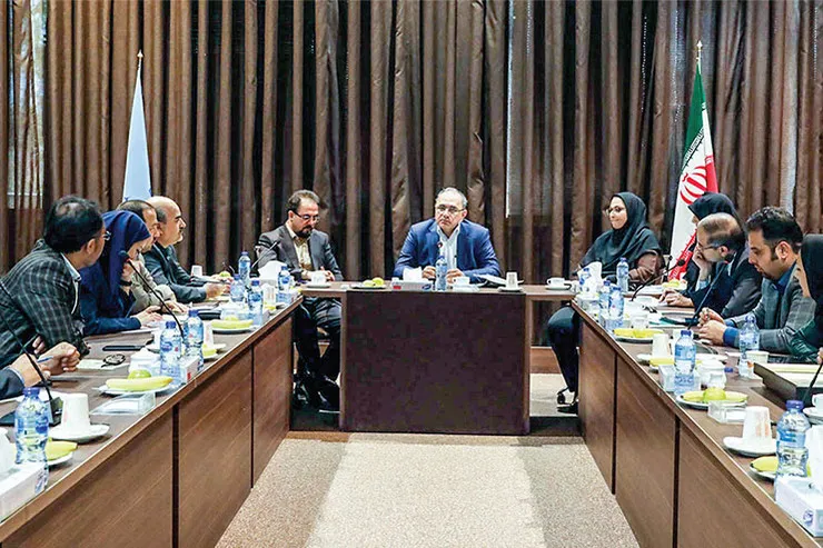 شرط توسعه پایدار، پایداری همگن است