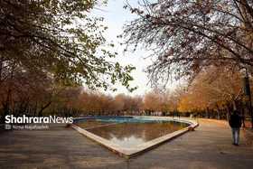شکوه رنگ&zwnj;های پاییزی در پارک ملت مشهد