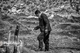 آخرین وضعیت مطالبات و متناسب&zwnj;سازی حقوق بازنشستگان تامین اجتماعی