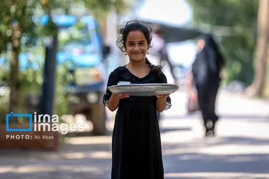 گزارش تصویری | پیاده روی در مسیر نخلستان‌های عراق