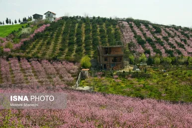 ایران زیباست | طبیعت بهاری روستاهای اطراف ساری