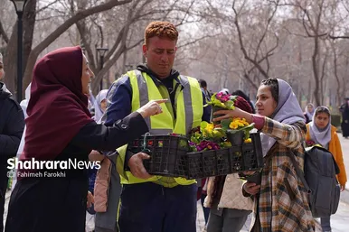 کاشت گل‌های بهاری توسط دانش آموزان در مشهد